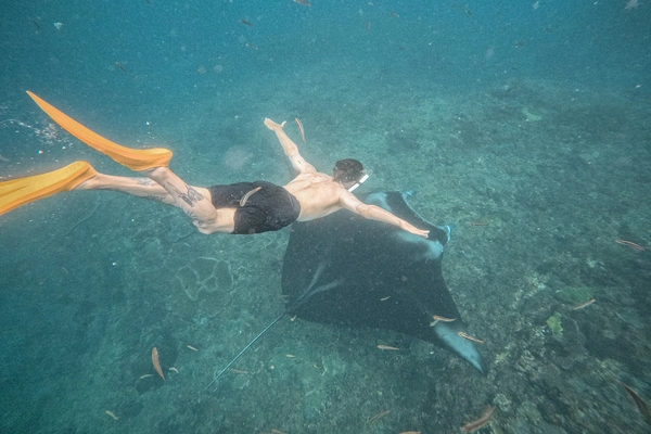 Snorkeling with manta rays at Manta Point Nusa Penida during private tour
